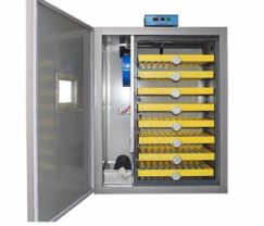 incubator-automat-ms-500-500-500-500-500-500-500-500-500