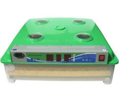 incubator-automat-ms-63-oua-gaina-rata-500-500