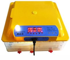 incubator-automat-pentru-36-oua-gaina-500-500