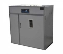 incubator-ms-528-500-500-500-500 (1)
